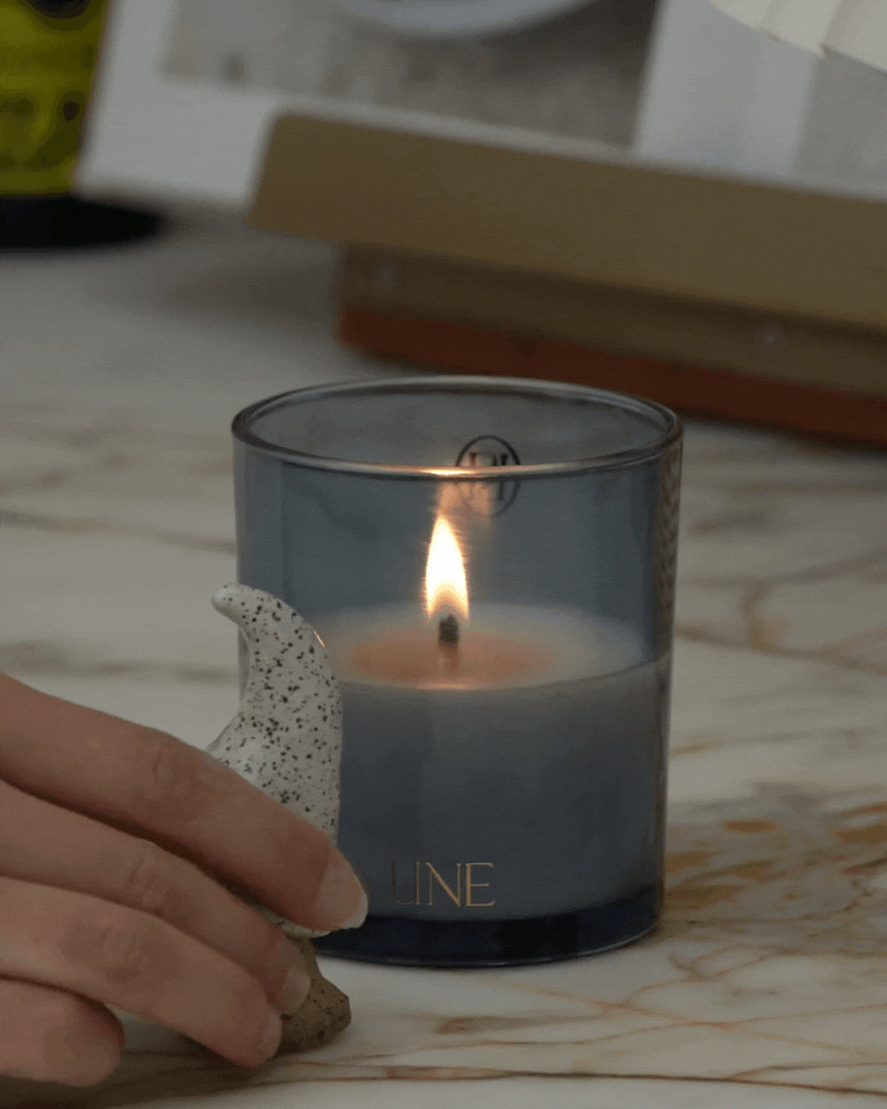 CERAMIC MUSHROOM CANDLE SNUFF