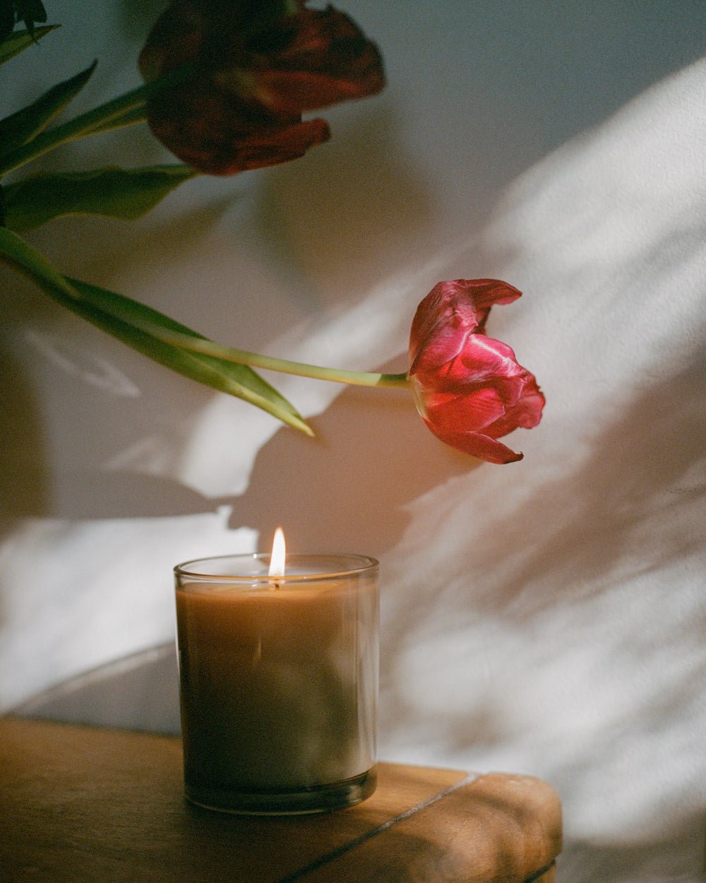 N˚10 AMBER CANDLE - Shop Cupcakes and Cashmere